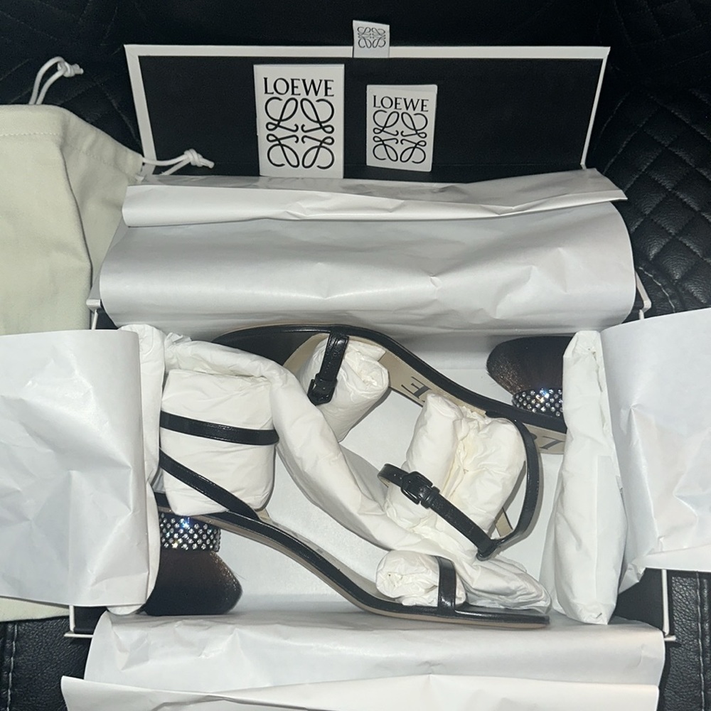 Loewe Petal brush heel sandals $1700 Sz40 NIB - Picture 9 of 12